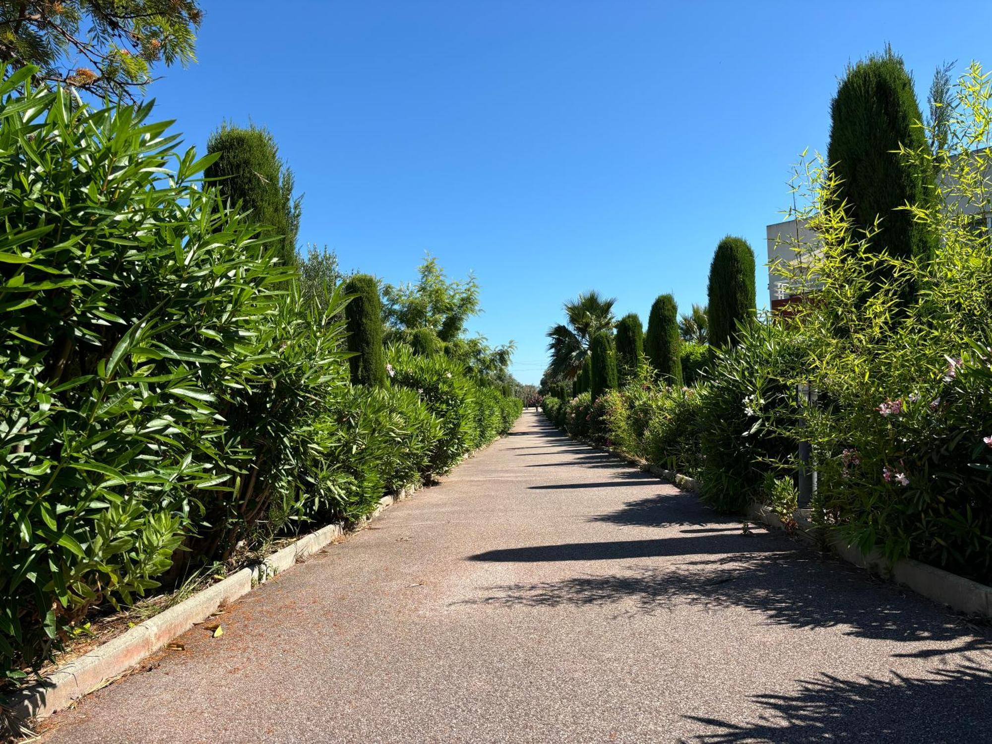 Beachside Apartment With Pool & Garden In Juan Les Pins アンティーブ エクステリア 写真