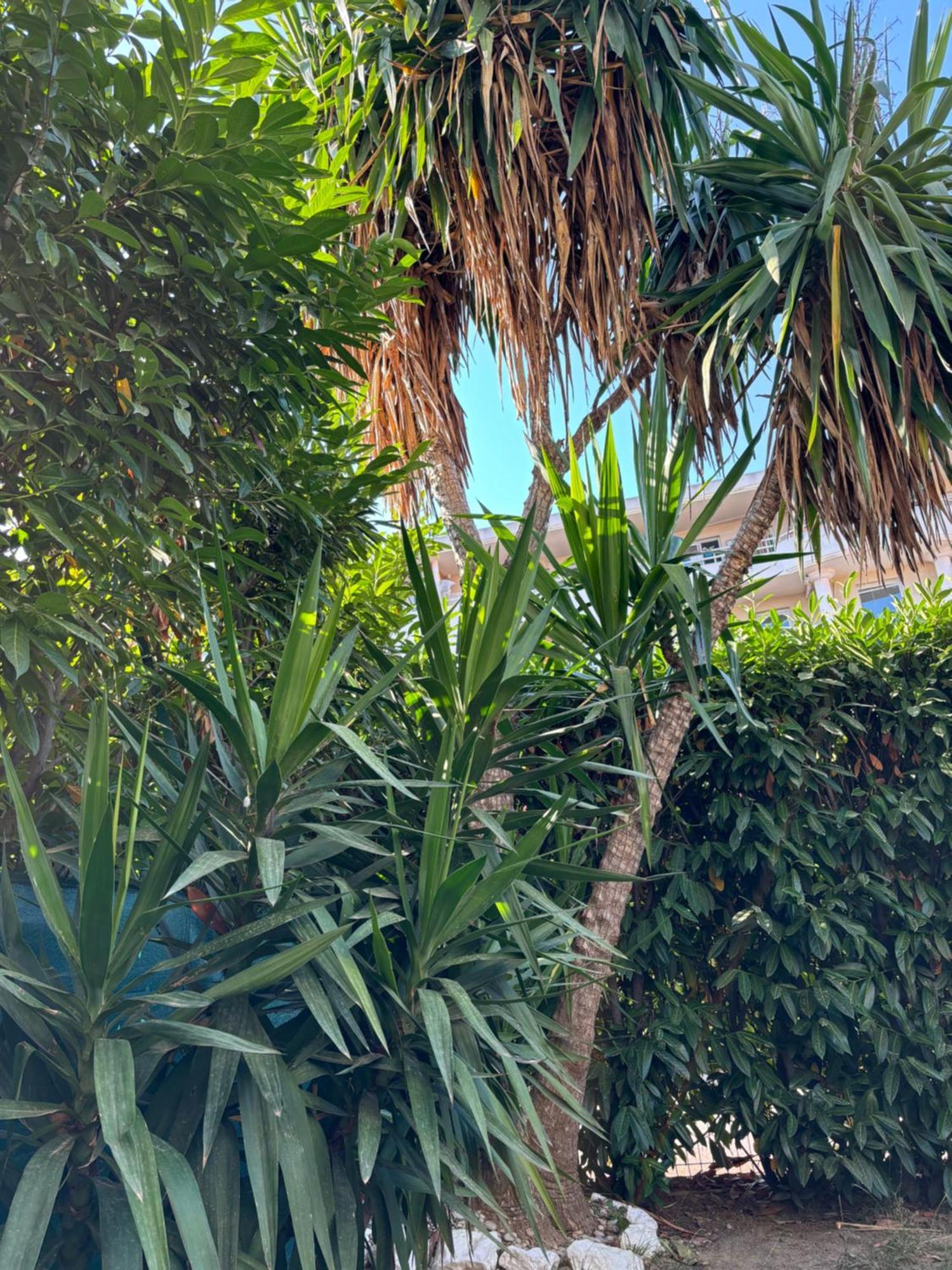 Beachside Apartment With Pool & Garden In Juan Les Pins アンティーブ エクステリア 写真