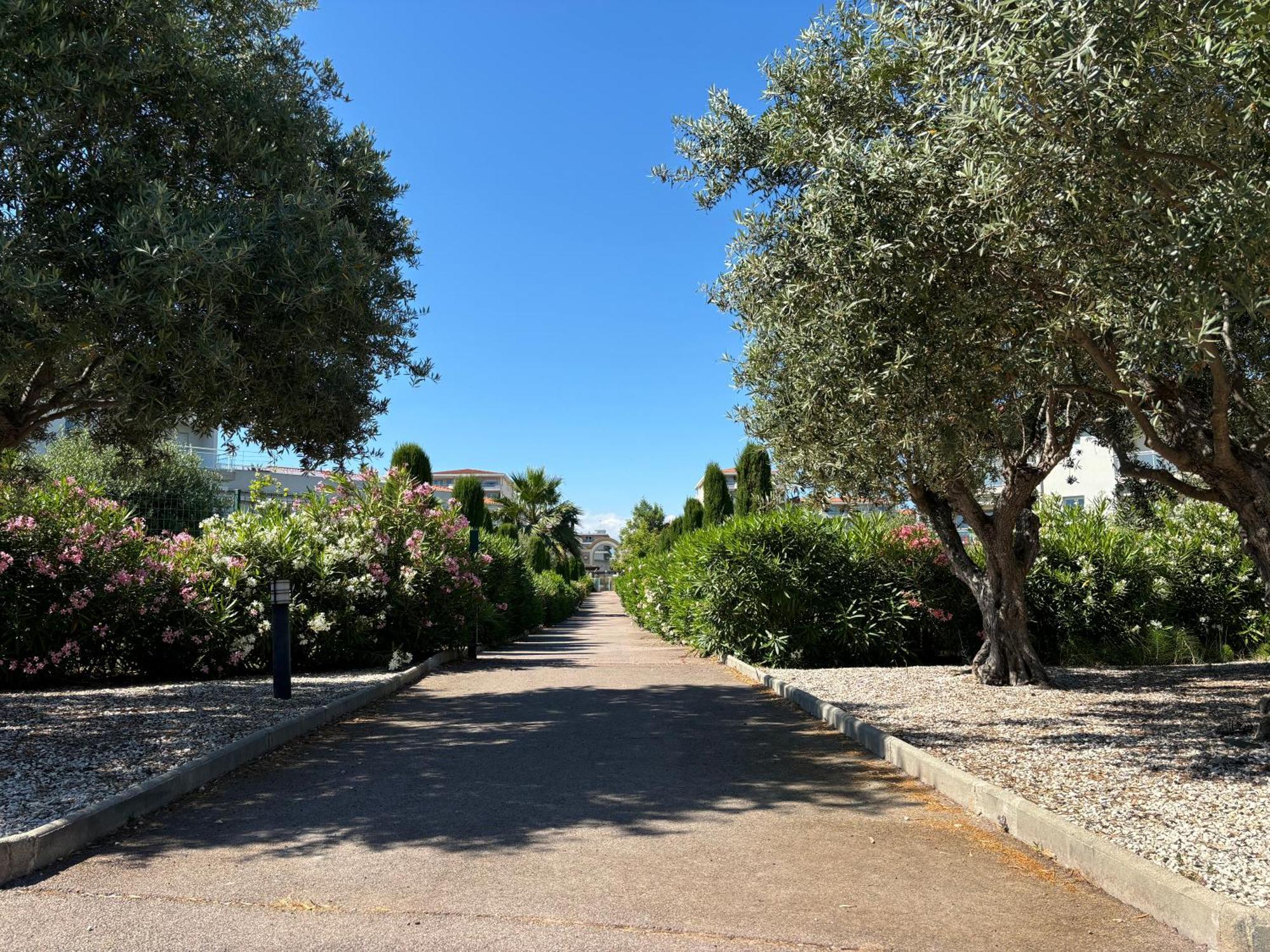 Beachside Apartment With Pool & Garden In Juan Les Pins アンティーブ エクステリア 写真